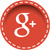 Google Plus Icon